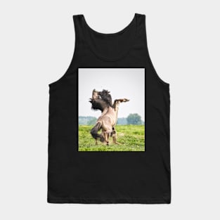 Horses don't usually fight over grass Tank Top